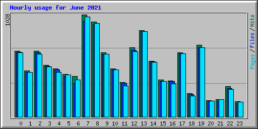 Hourly usage for June 2021